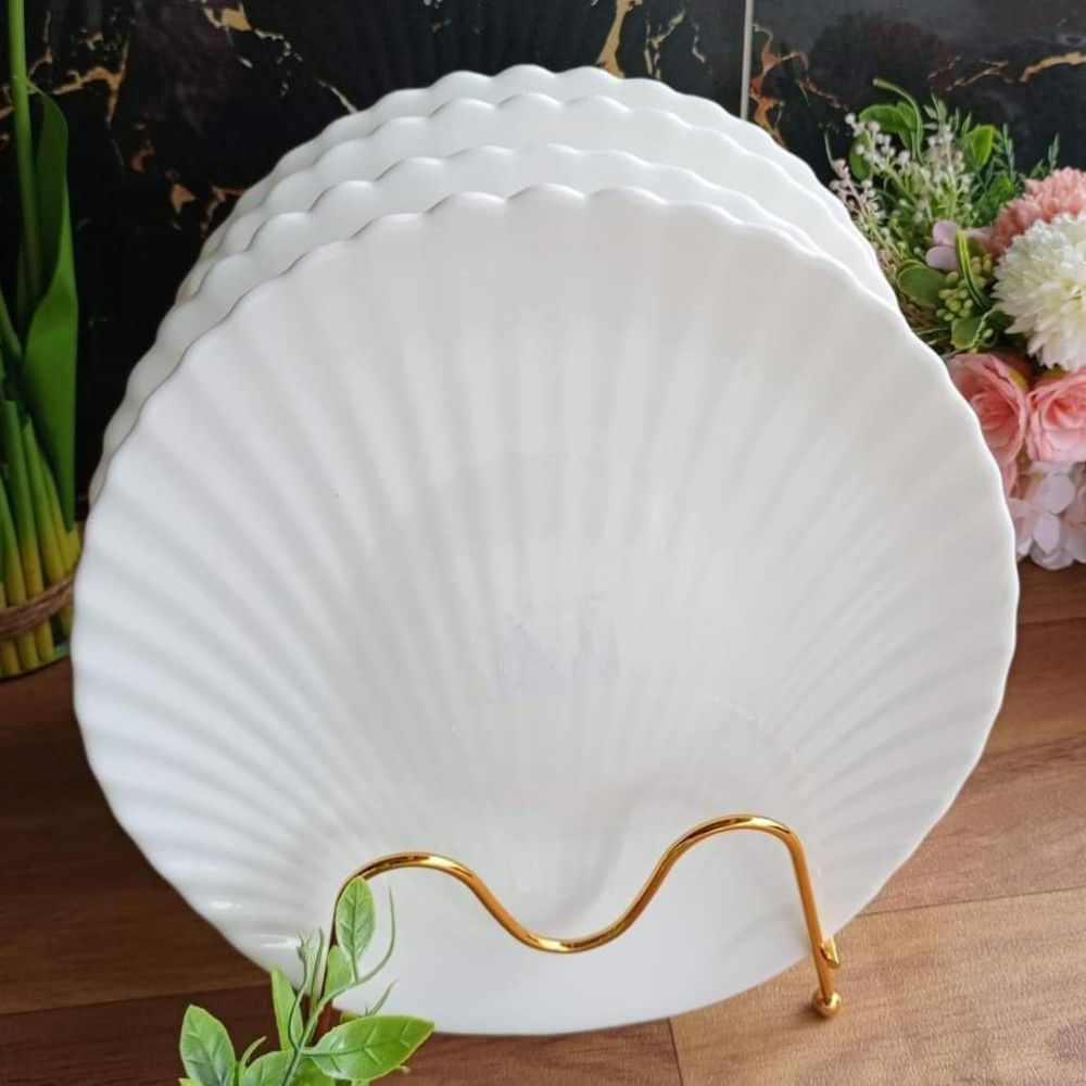 6pc White shell plates