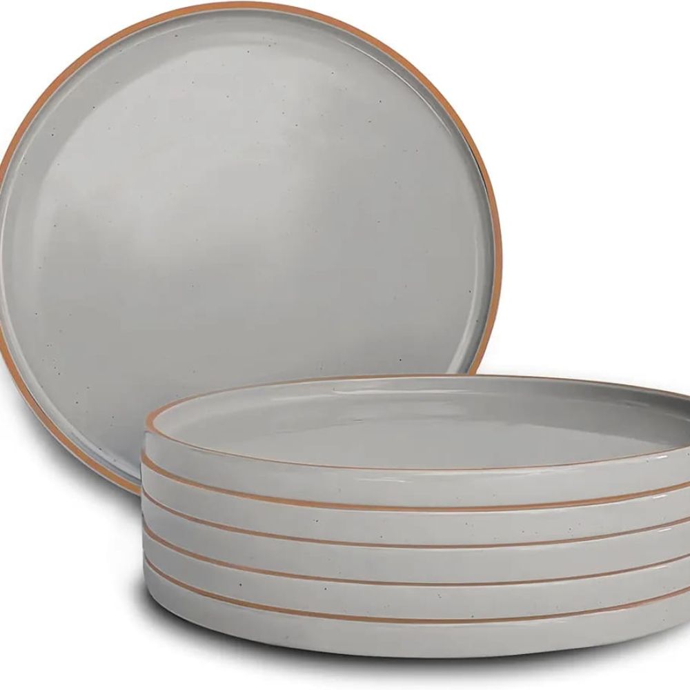 6pc Dinner Plates