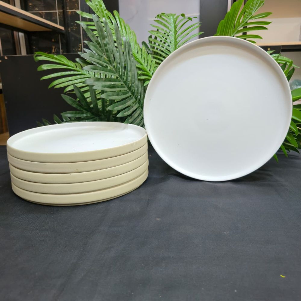 6pc matte ceramic dinner plates