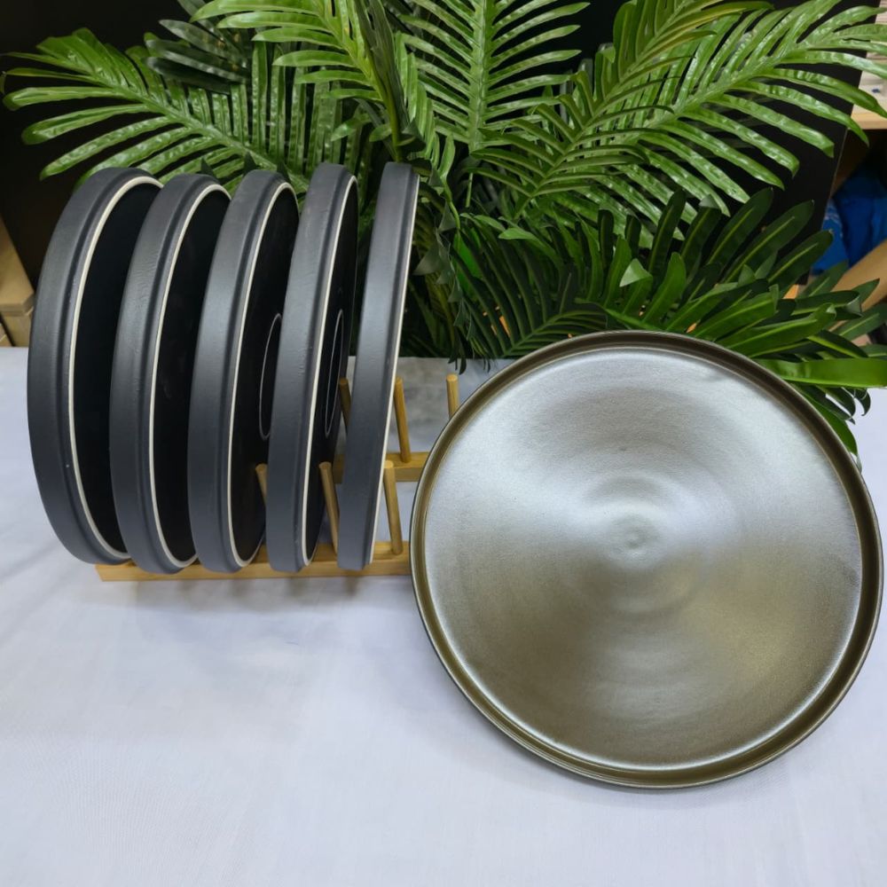 6pc Matte Ceramic dinner plates