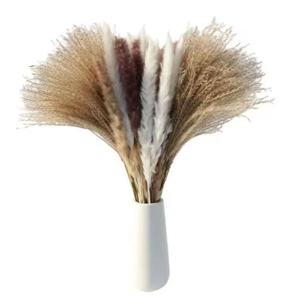 Decorative Feather set
