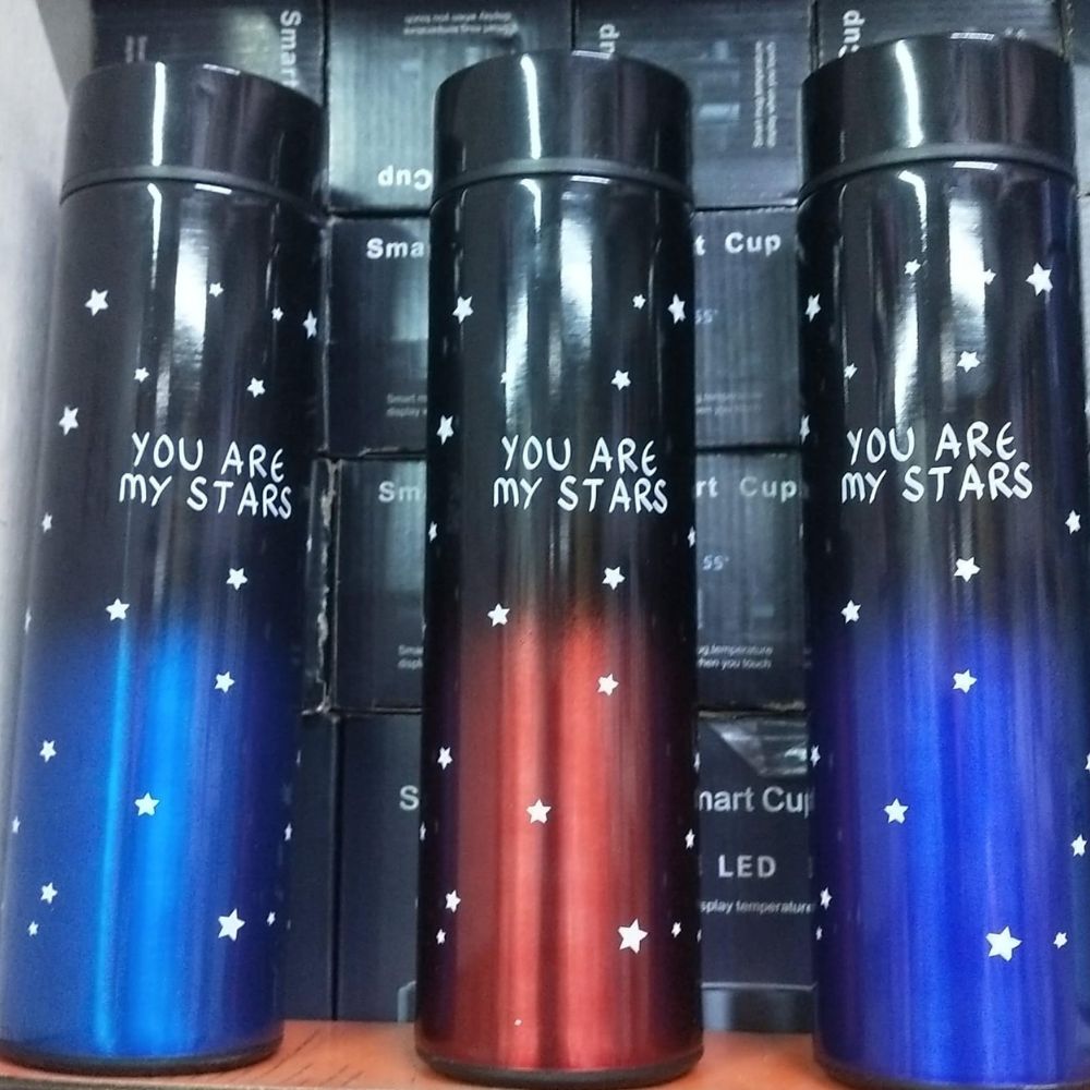 Insulated Flask