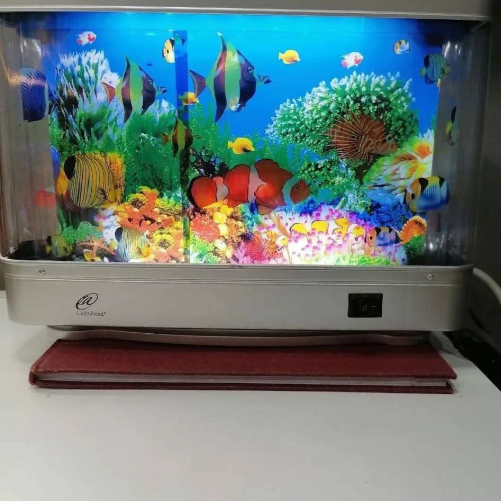 Mini Aquarium