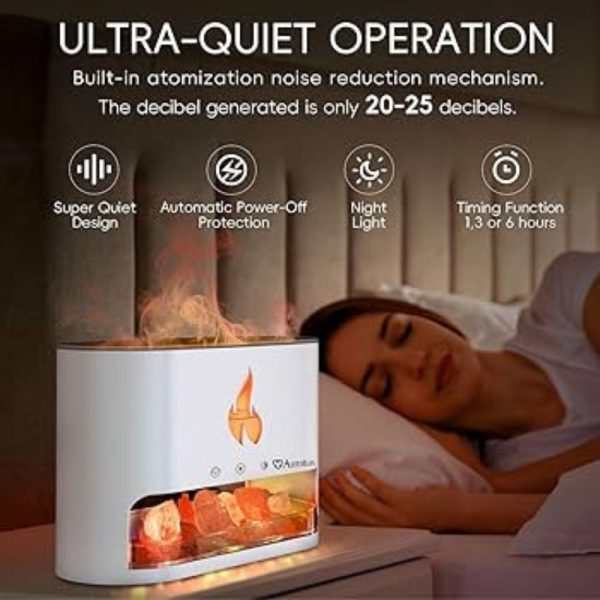 Salt Stone Humidifier